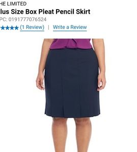 Navy The Limited Pleated Skirt